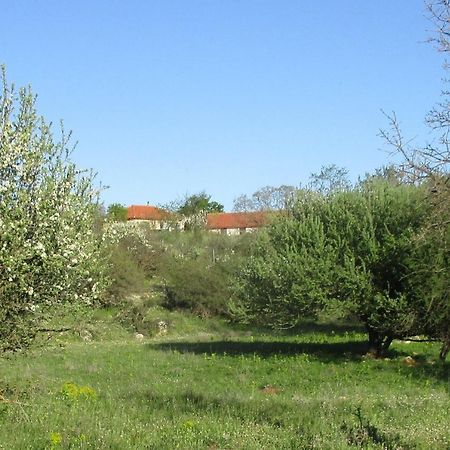 Arcadian Stone House In A Quiet Landscape, Leonidion Villa Poúlithra Exterior foto